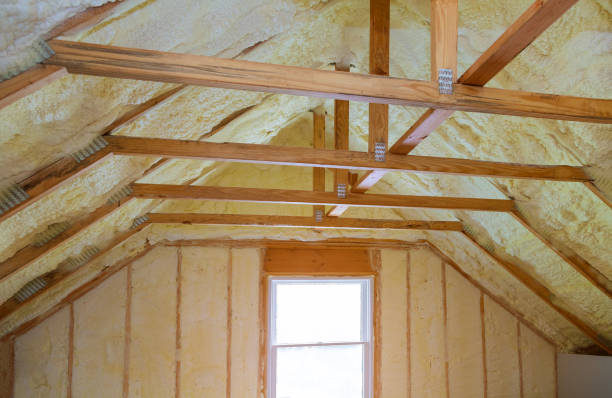 Best Insulation Repair Services  in South Highpoint, FL