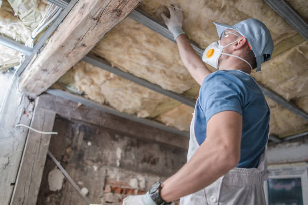 Best Local Insulation Services  in South Highpoint, FL