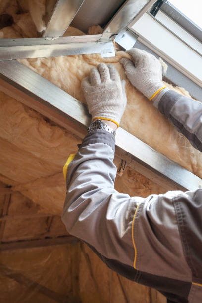 Best Attic Insulation Installation  in South Highpoint, FL