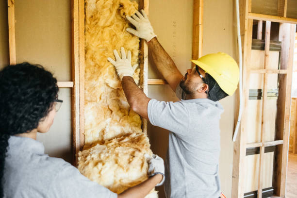 Best Soundproof Insulation Installation  in South Highpoint, FL