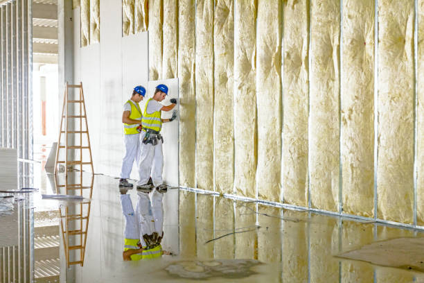 Best Garage Insulation Installation  in South Highpoint, FL